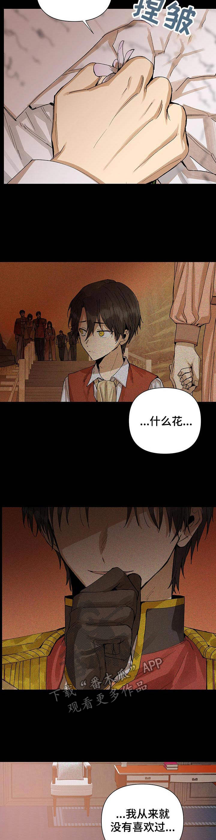 《敌国质子》第21章盛开的花（完结） 第3页