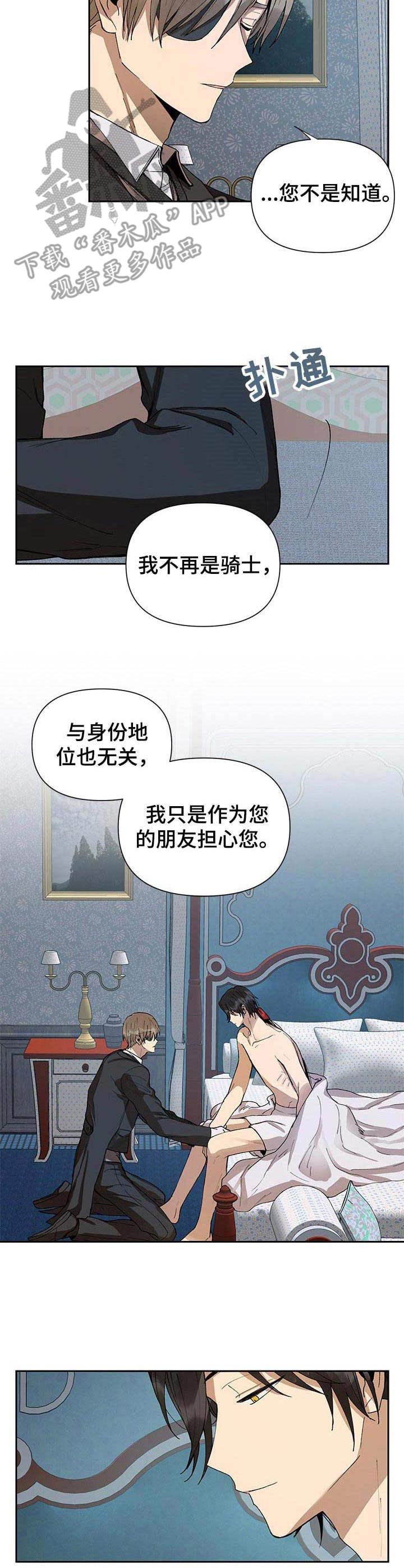 《敌国质子》第2章帝国骑士 第3页