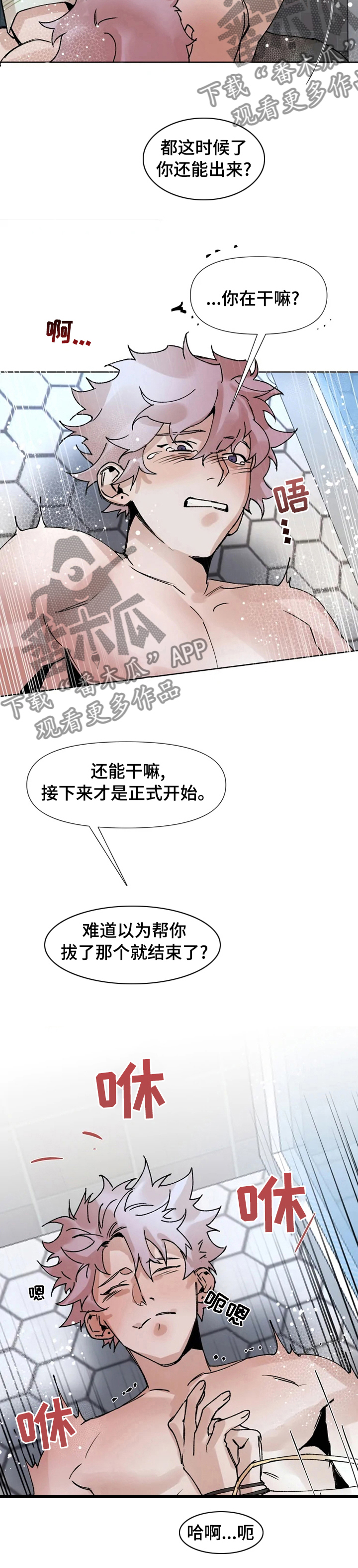 《火爆香蕉》第50章正式开始 第7页