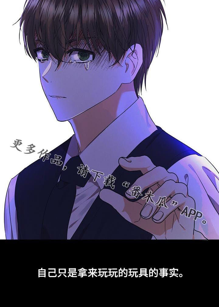 《苦味柠檬》第38章玩具 第12页
