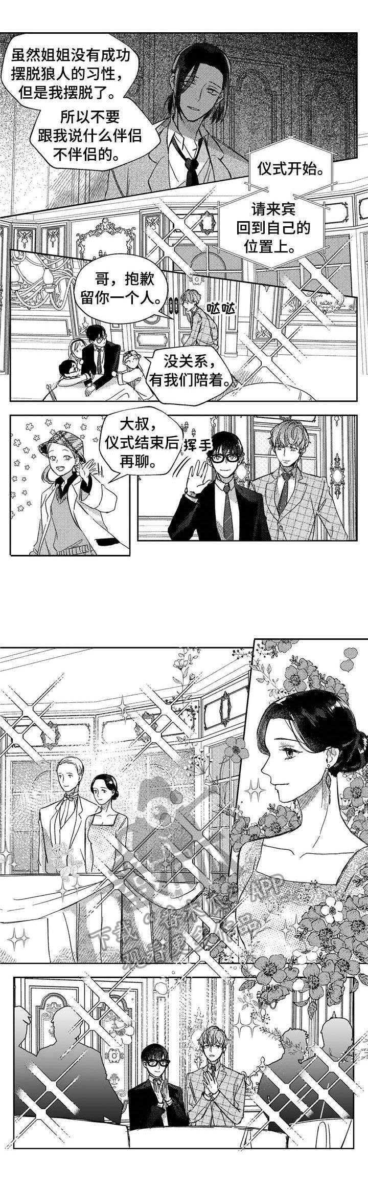 《狼与糖果》第24章伴侣仪式（第一季完结） 第2页