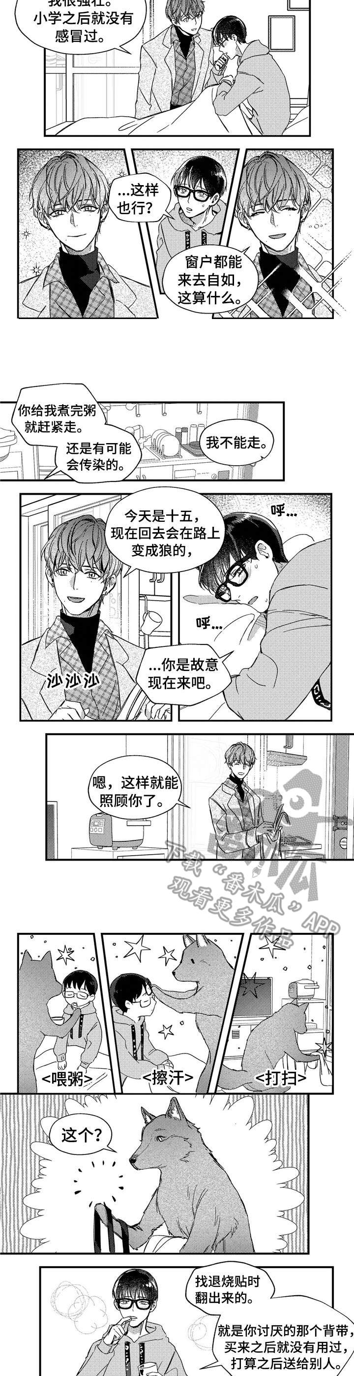 《狼与糖果》第23章背带 第3页