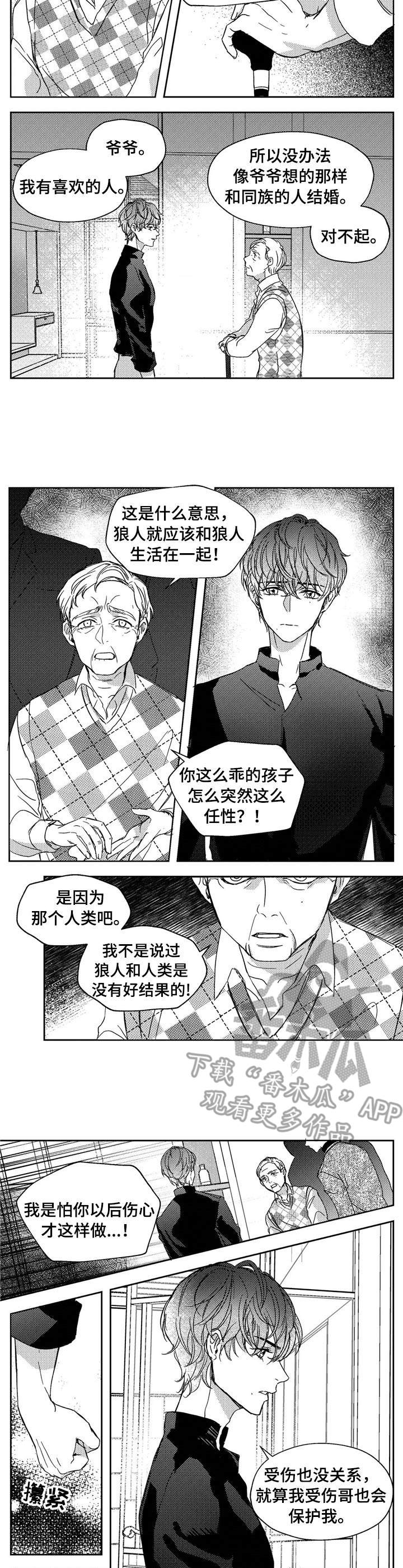 《狼与糖果》第19章辩论 第5页