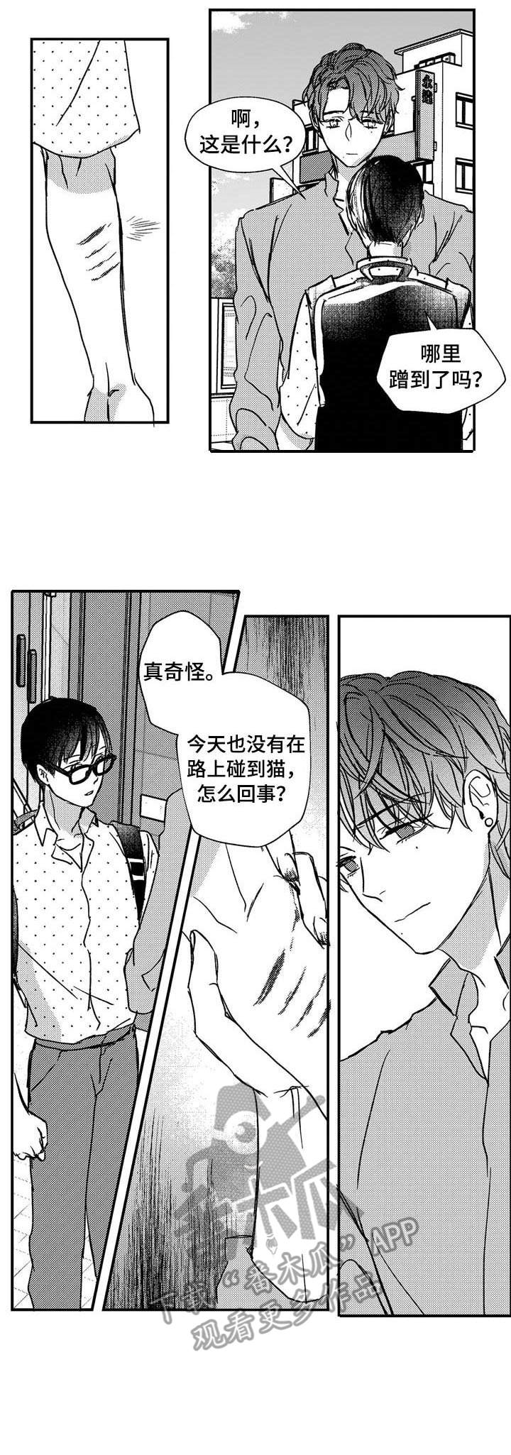《狼与糖果》第14章约会 第6页