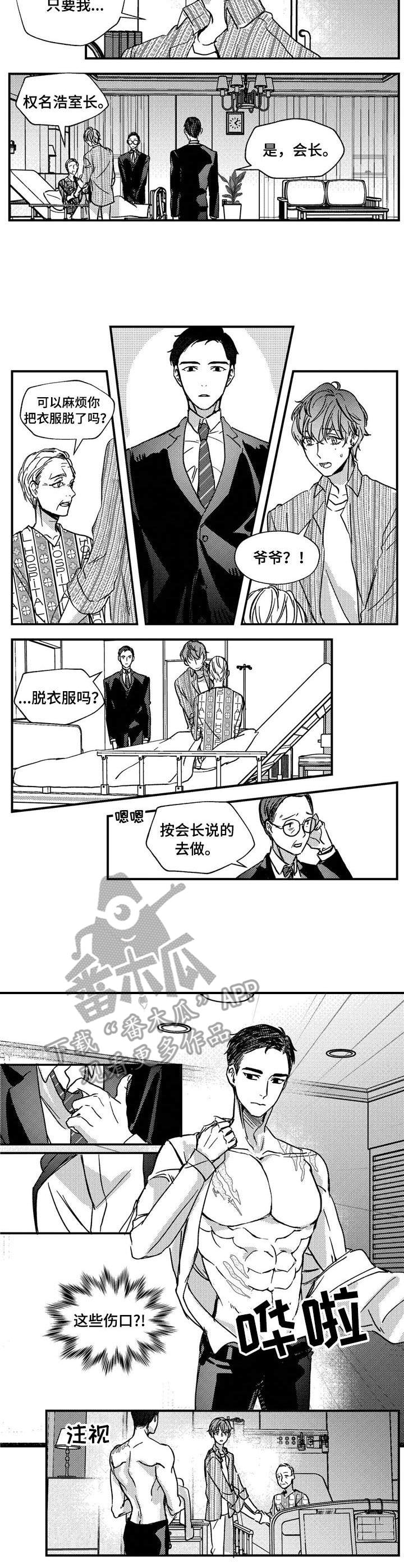 《狼与糖果》第13章伤痕 第3页