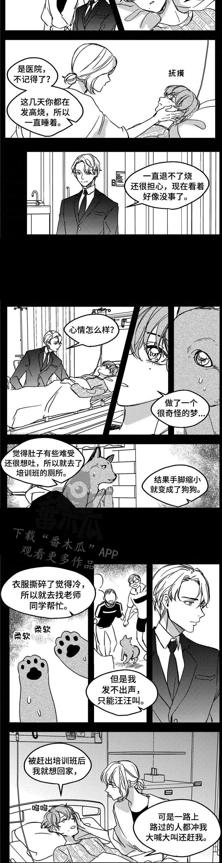 《狼与糖果》第11章不是失误 第5页