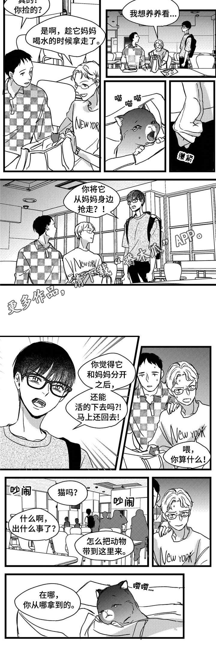 《狼与糖果》第7章小猫 第7页
