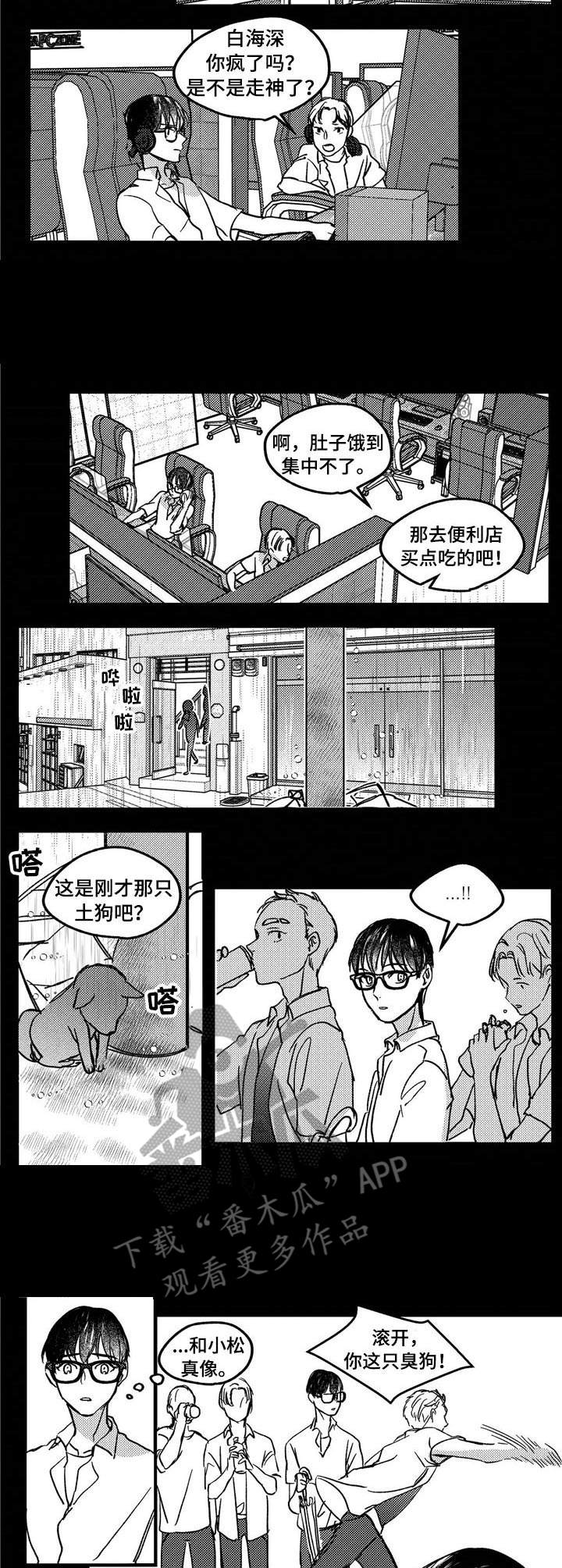 《狼与糖果》第9章流浪狗 第3页