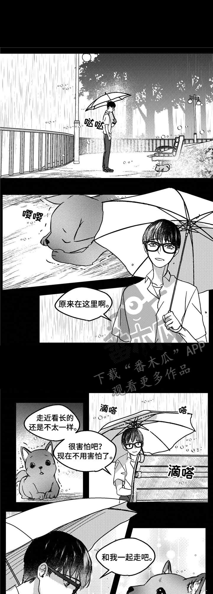 《狼与糖果》第9章流浪狗 第6页