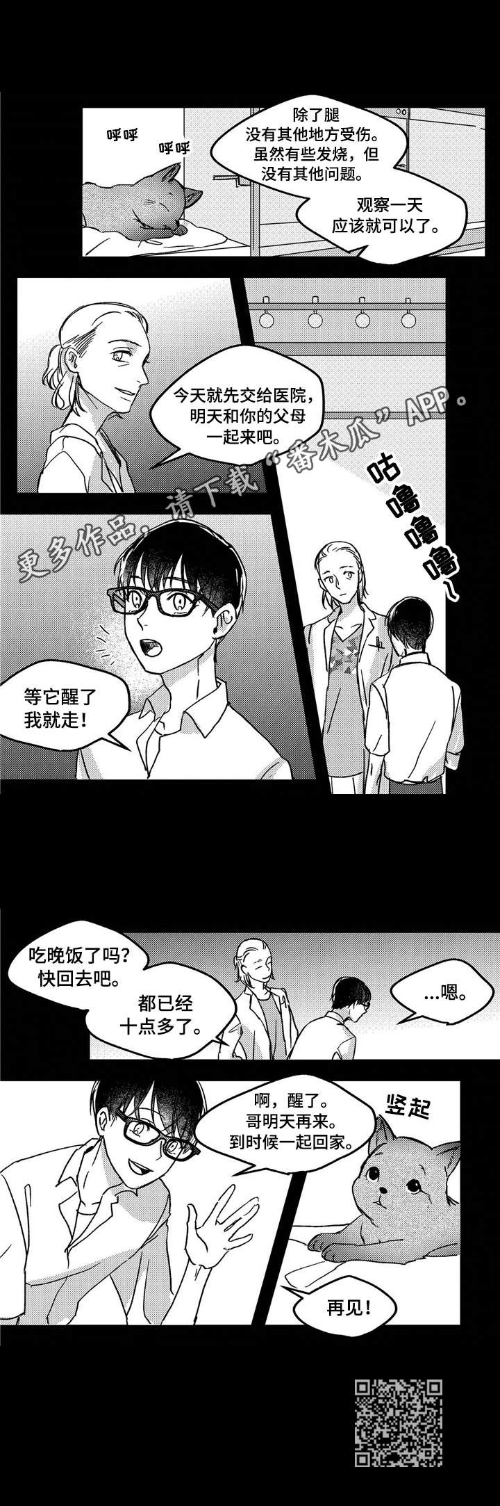《狼与糖果》第9章流浪狗 第8页