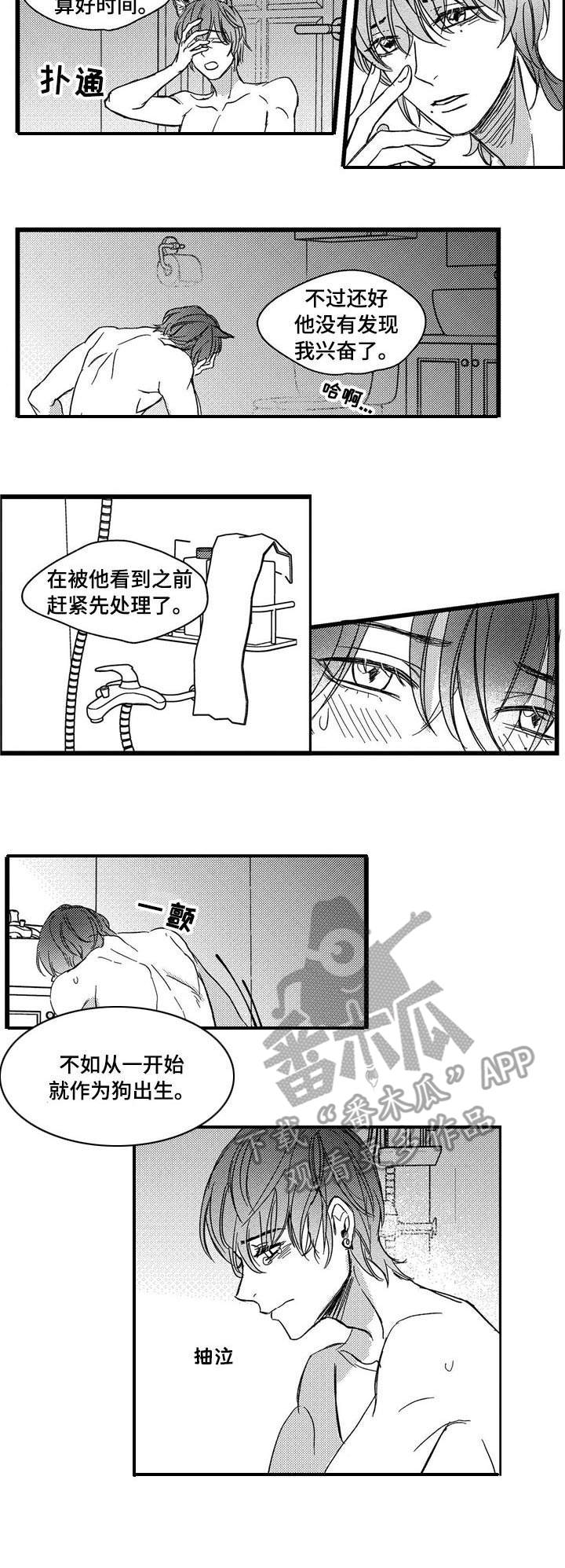 《狼与糖果》第6章借酒消愁 第2页