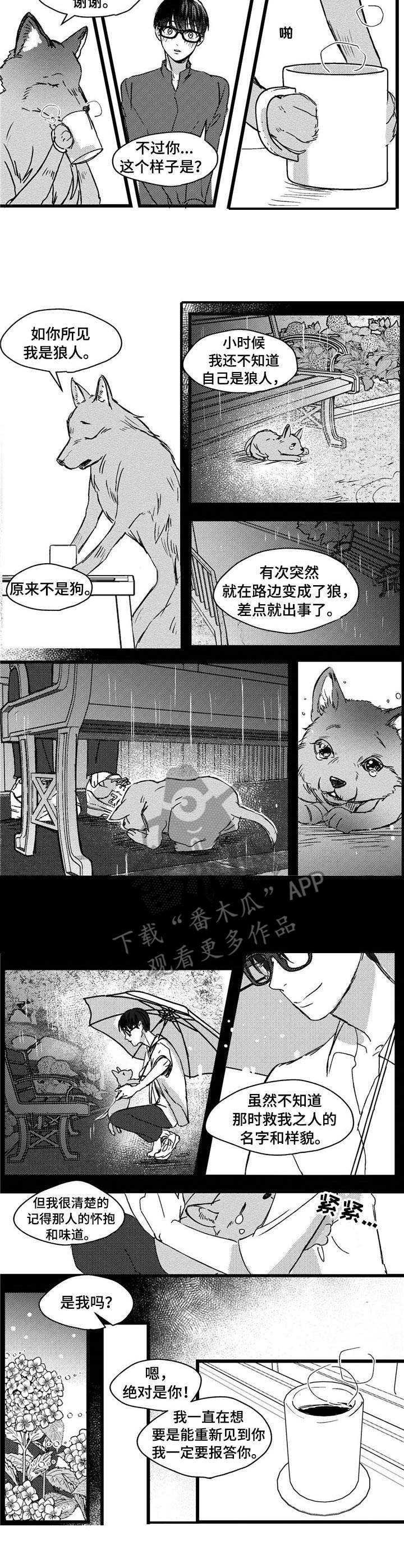 《狼与糖果》第4章狼人 第3页