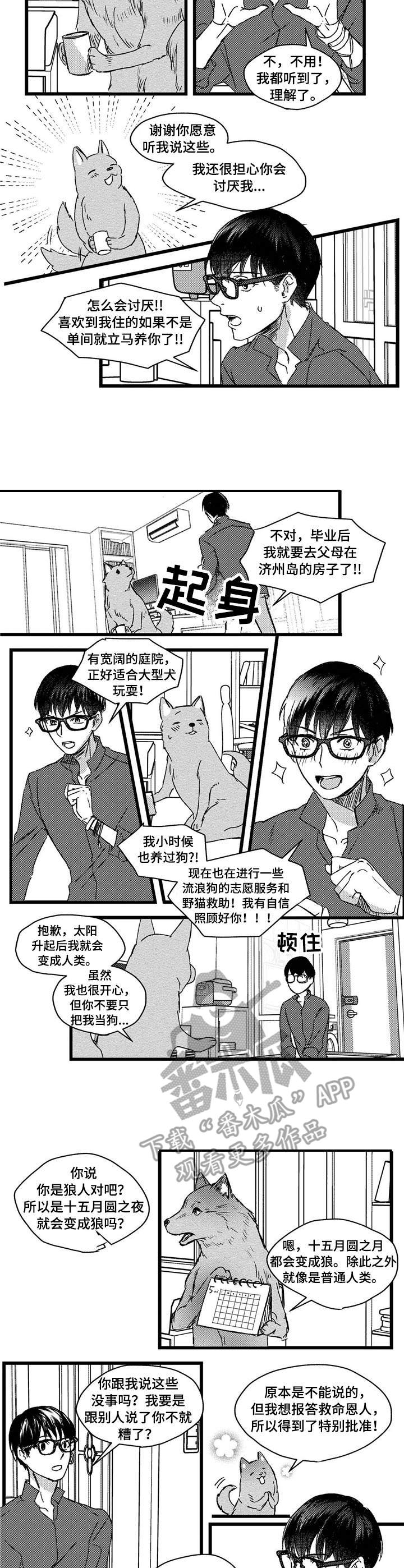 《狼与糖果》第4章狼人 第6页