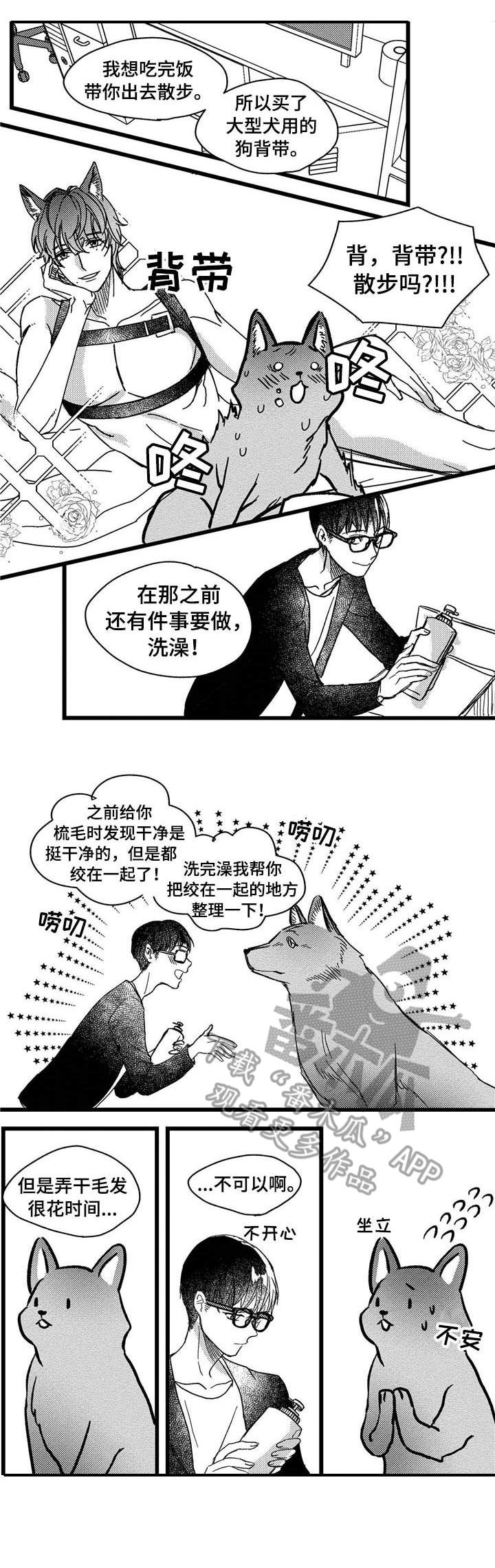 《狼与糖果》第5章洗一洗 第5页