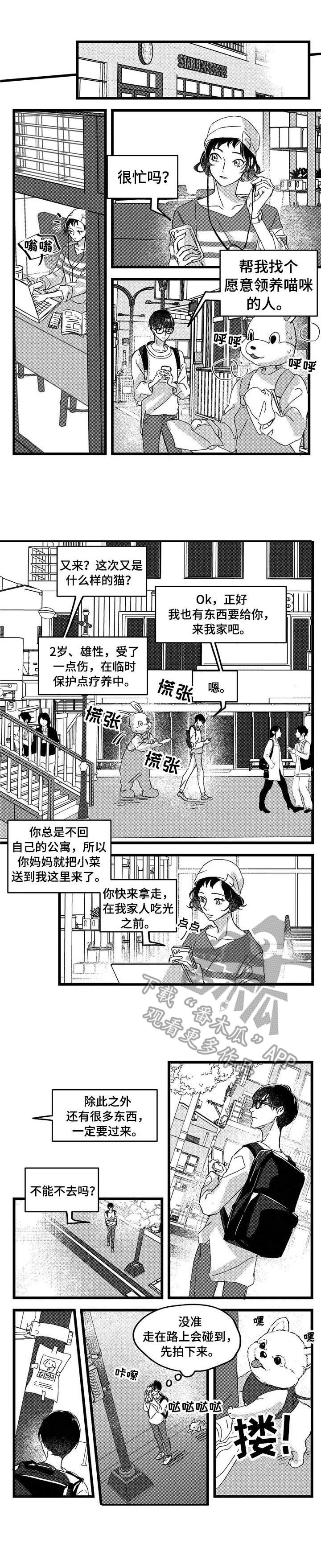 《狼与糖果》第2章举止怪异 第1页