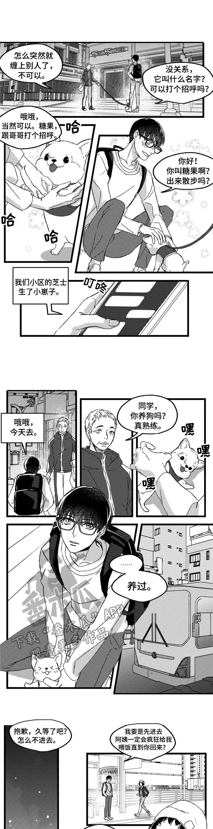 《狼与糖果》第2章举止怪异 第2页