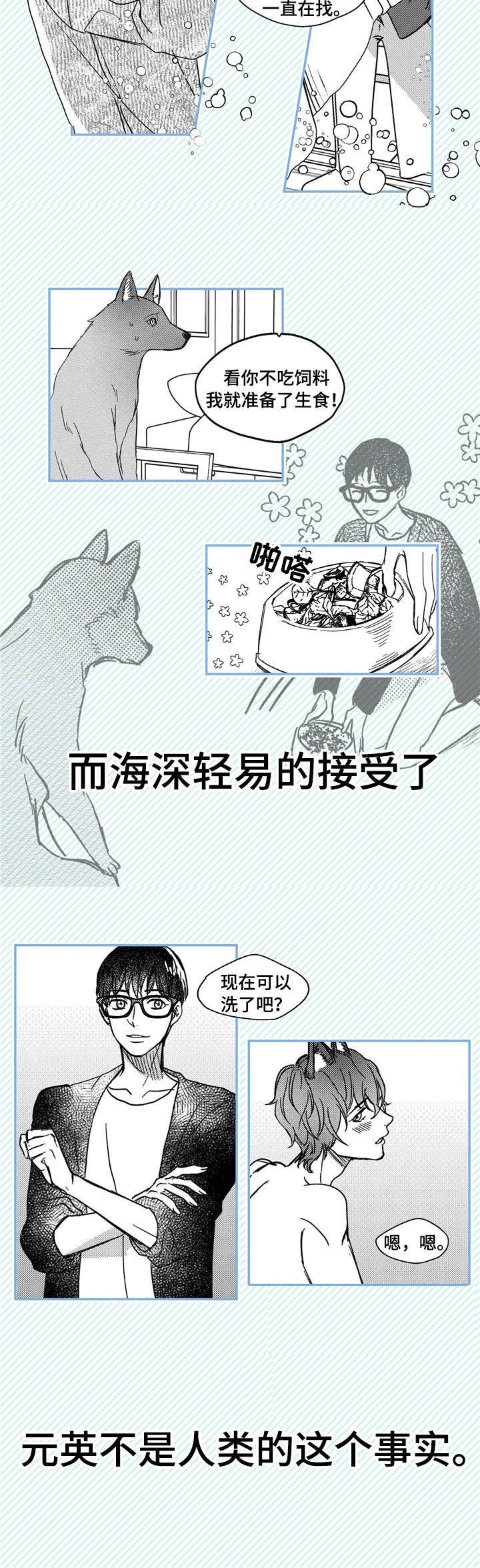 《狼与糖果》第1章小动物 第4页