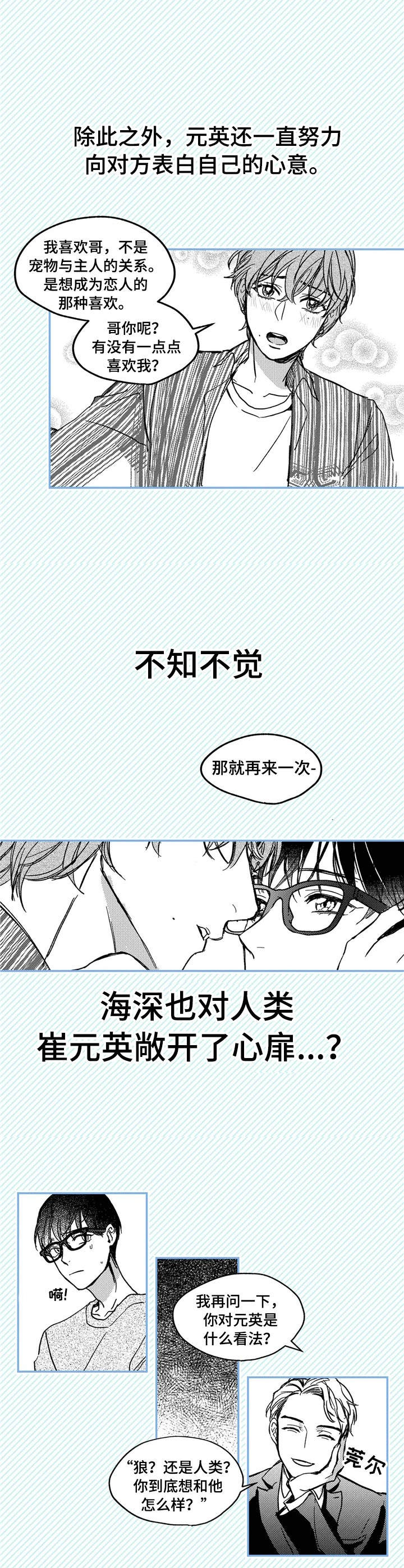 《狼与糖果》第1章小动物 第5页