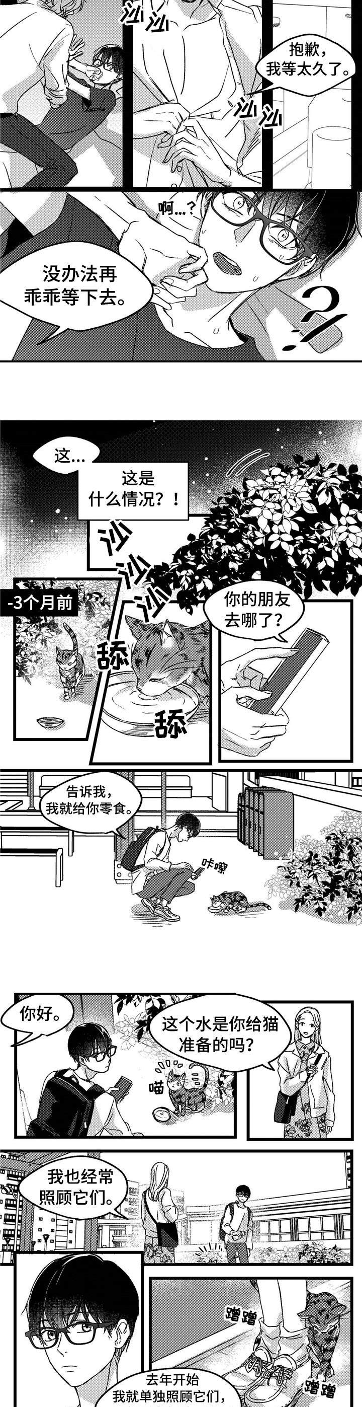 《狼与糖果》第1章小动物 第8页