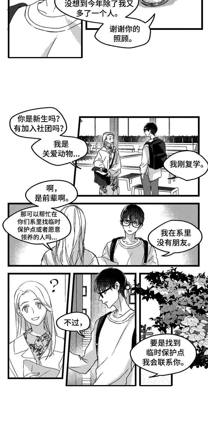 《狼与糖果》第1章小动物 第9页