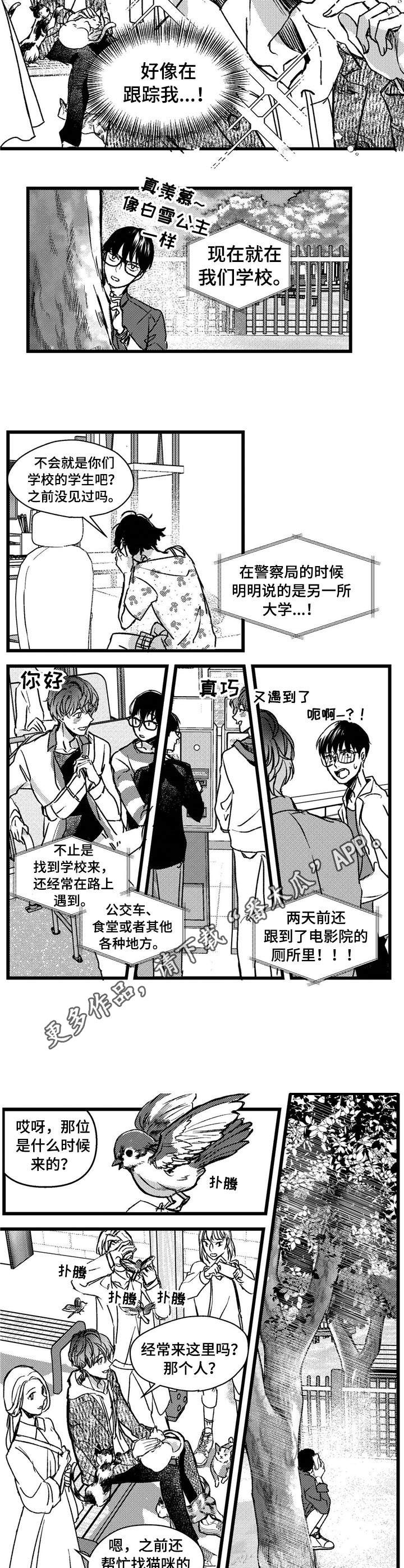 《狼与糖果》第3章跟踪 第5页