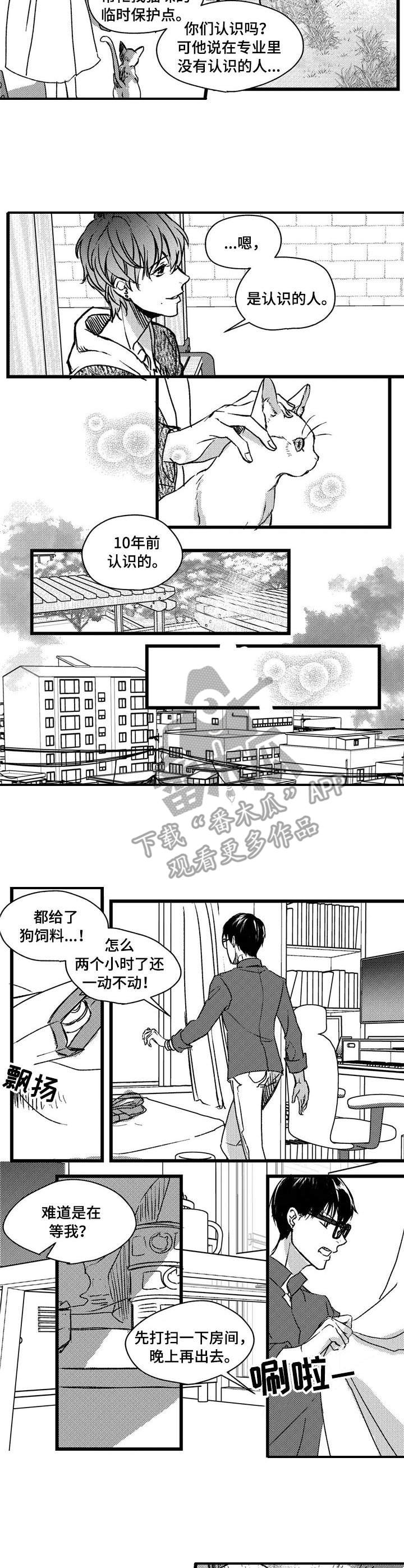 《狼与糖果》第3章跟踪 第6页