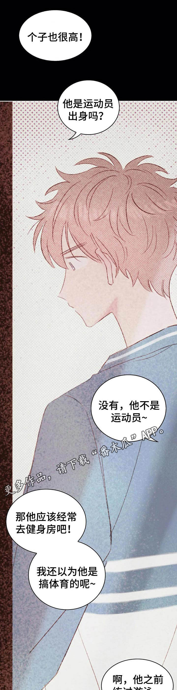 《最棒的工具》第25章魅力很高 第13页