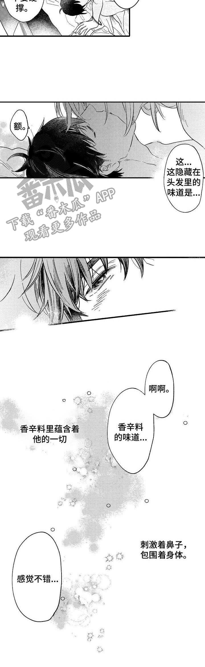 《粉丝经纪人》第23章香辛料 第9页