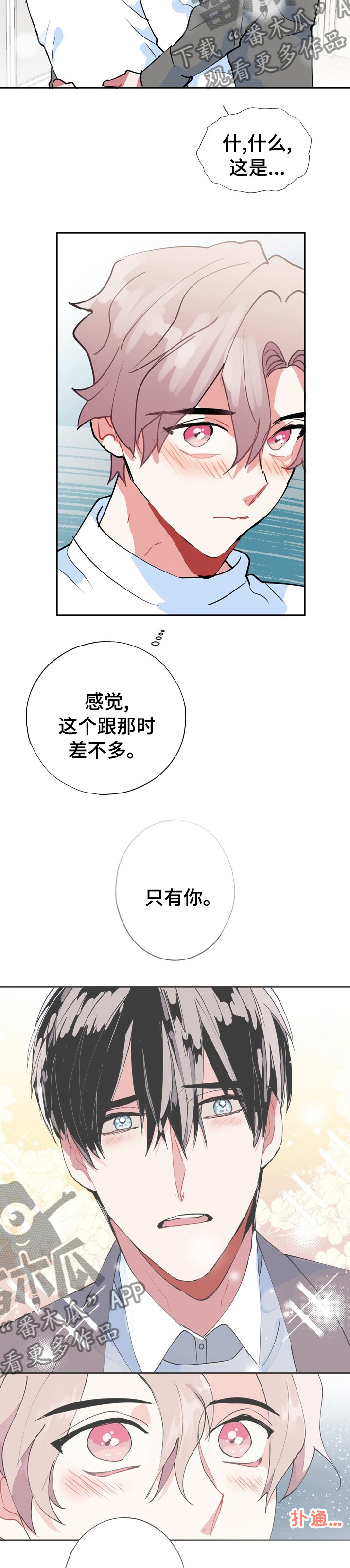 《灵体之躯》第64章【完结】经纪人 第12页