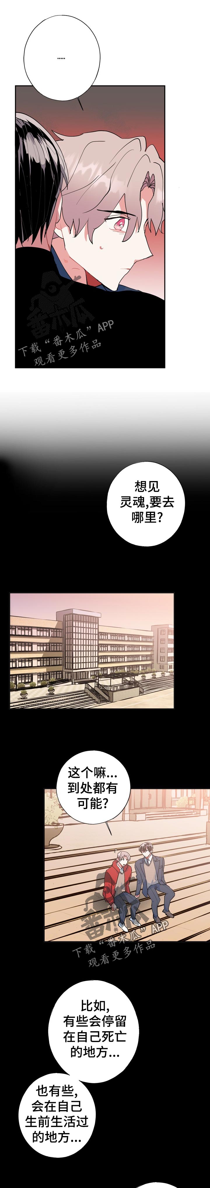 《灵体之躯》第27章万幸 第11页