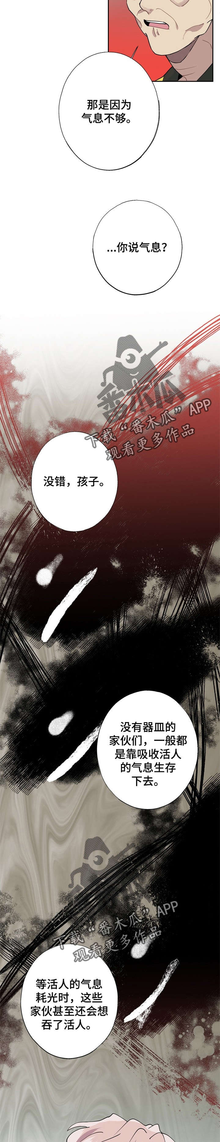 《灵体之躯》第10章外婆 第13页