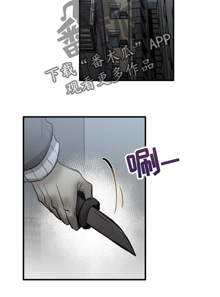 《生还之岛》第113章【第二季】我要成为诱饵 第10页