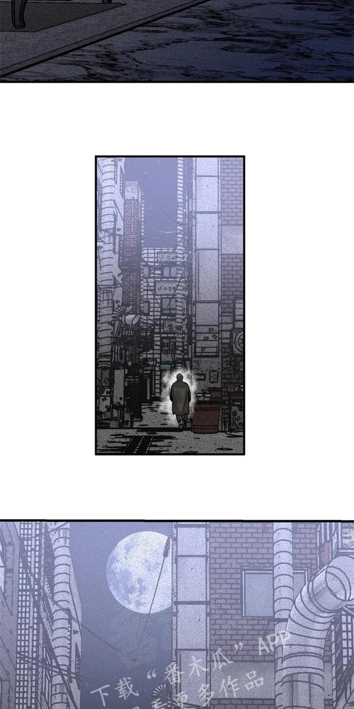 《生还之岛》第101章【第二季】我已经尽力了 第19页