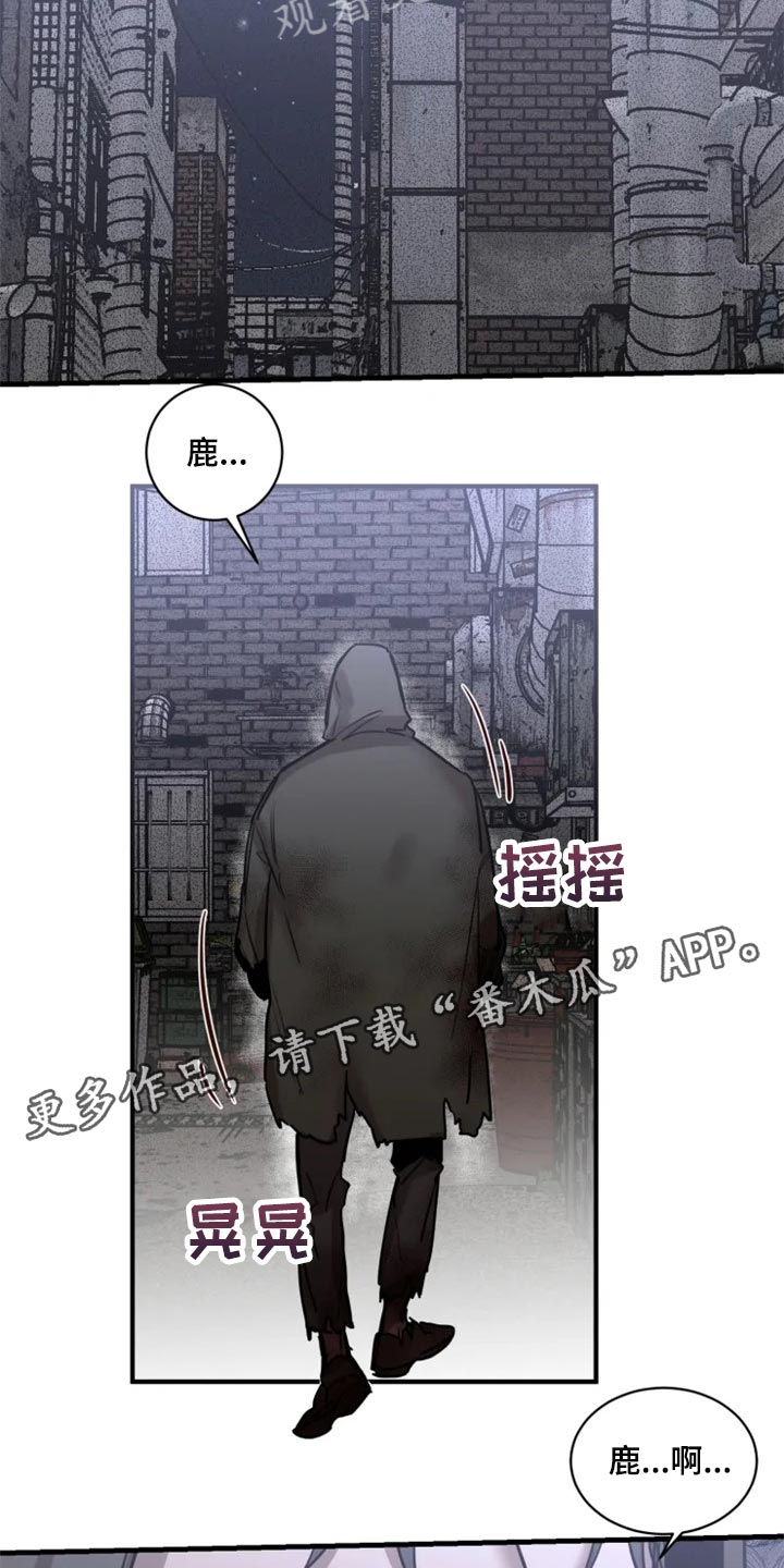 《生还之岛》第101章【第二季】我已经尽力了 第20页
