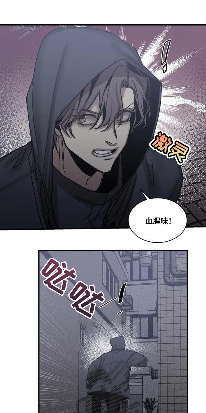 《生还之岛》第93章【第二季】让他来找我 第8页