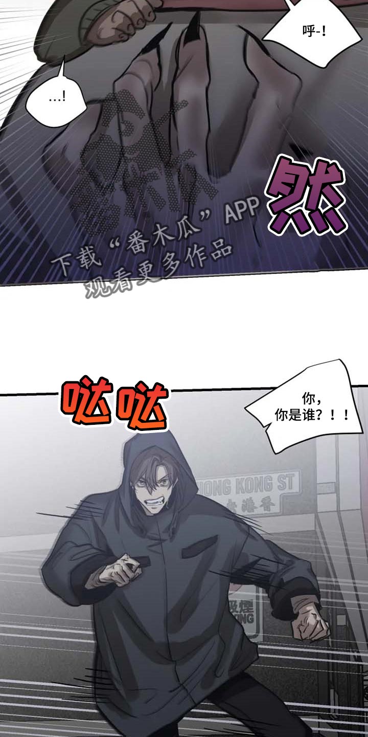 《生还之岛》第94章【第二季】目击者 第4页