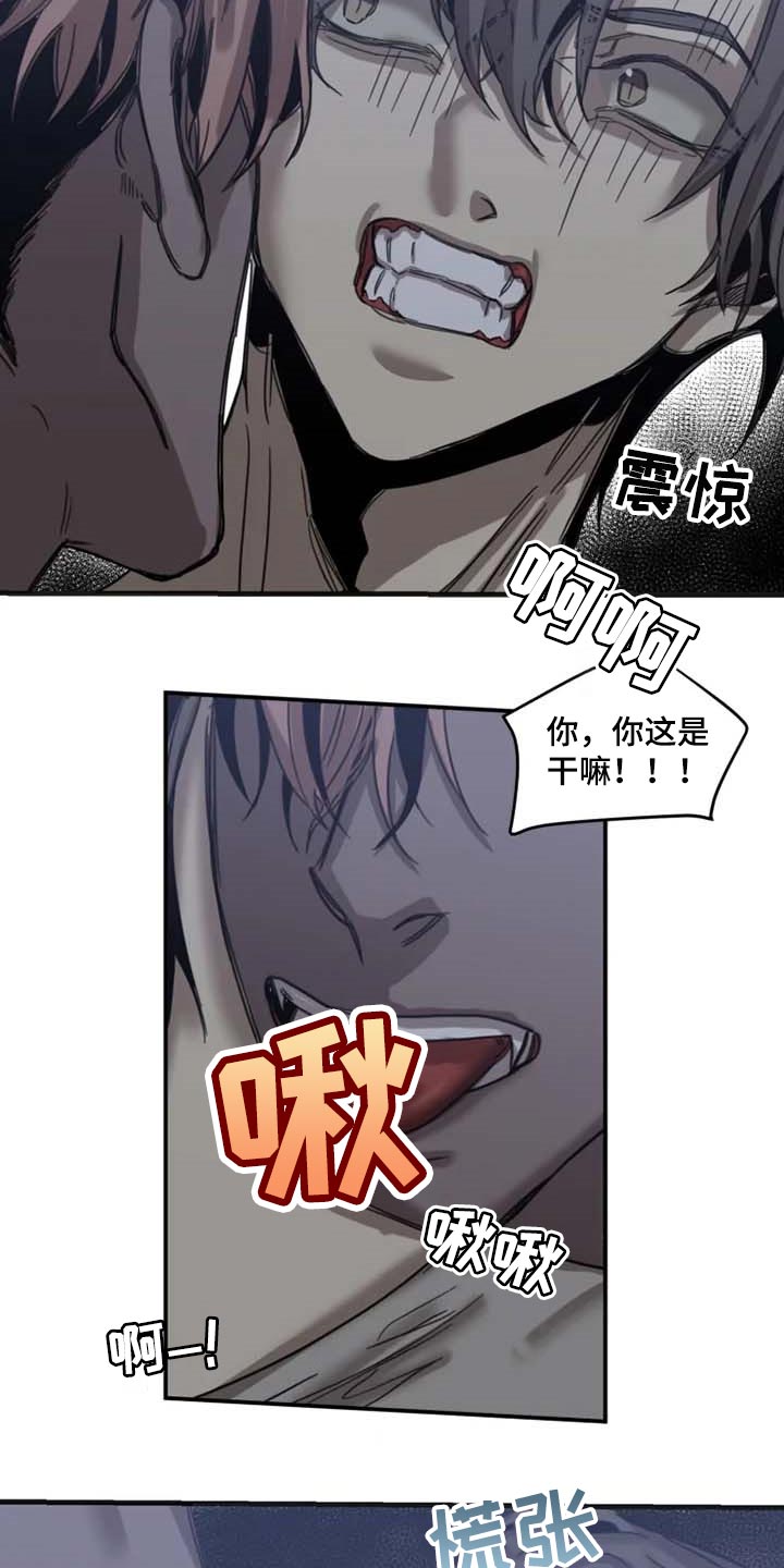 《生还之岛》第81章【第二季】证明你的清白 第3页