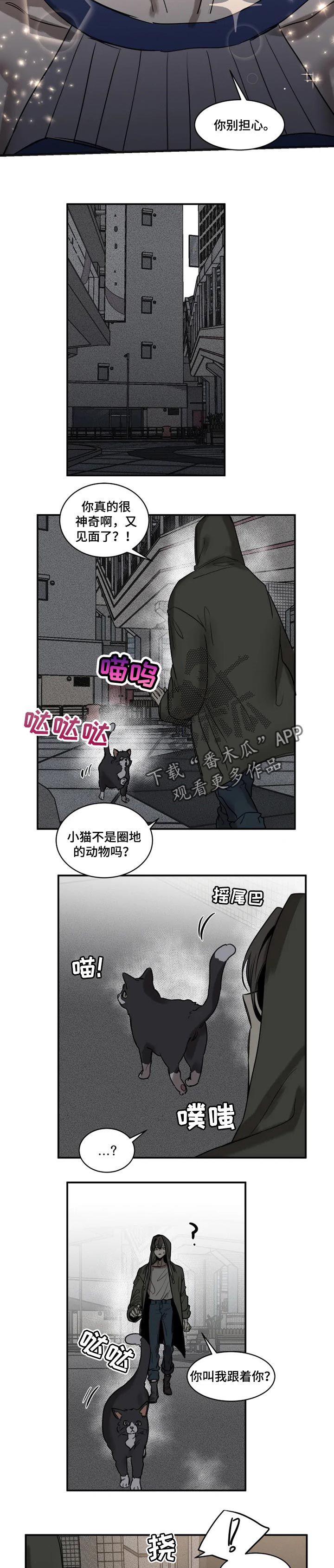 《生还之岛》第77章【第二季】负责 第5页