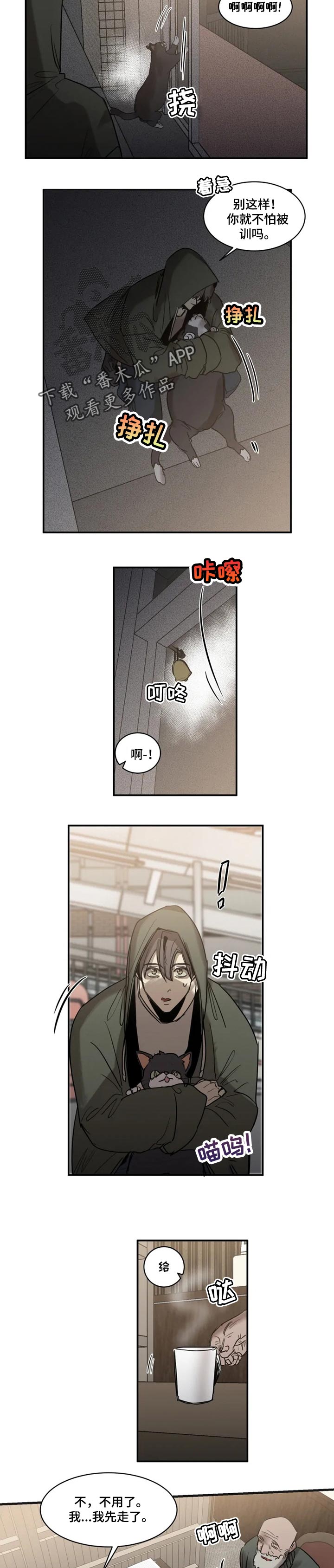 《生还之岛》第77章【第二季】负责 第6页