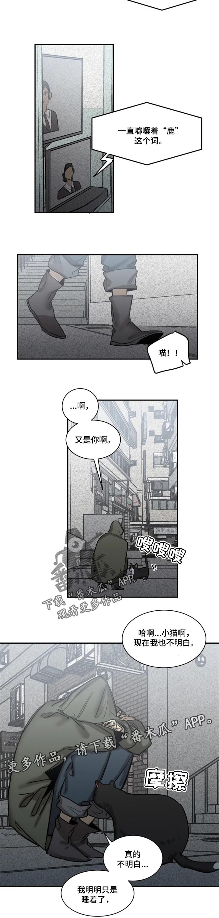 《生还之岛》第74章【第二季】只是睡着了 第8页