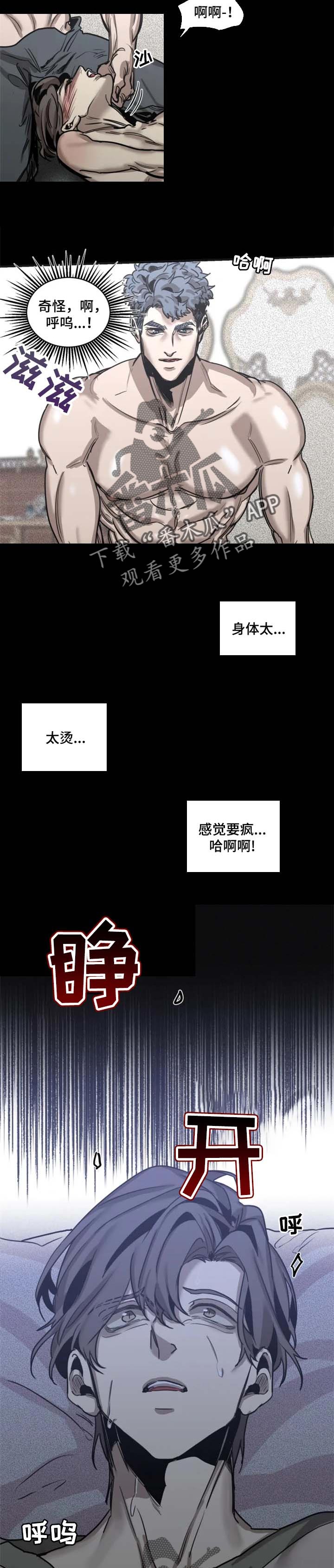 《生还之岛》第62章【第二季】还活着 第5页