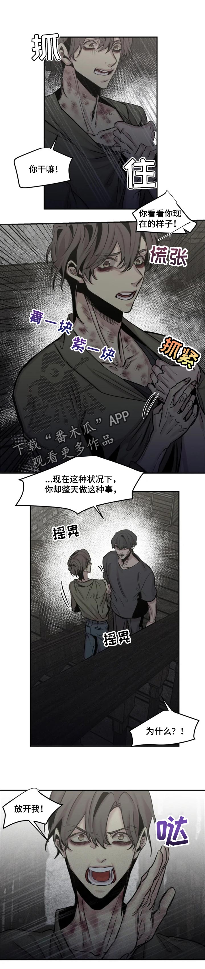 《生还之岛》第55章意外的人 第1页