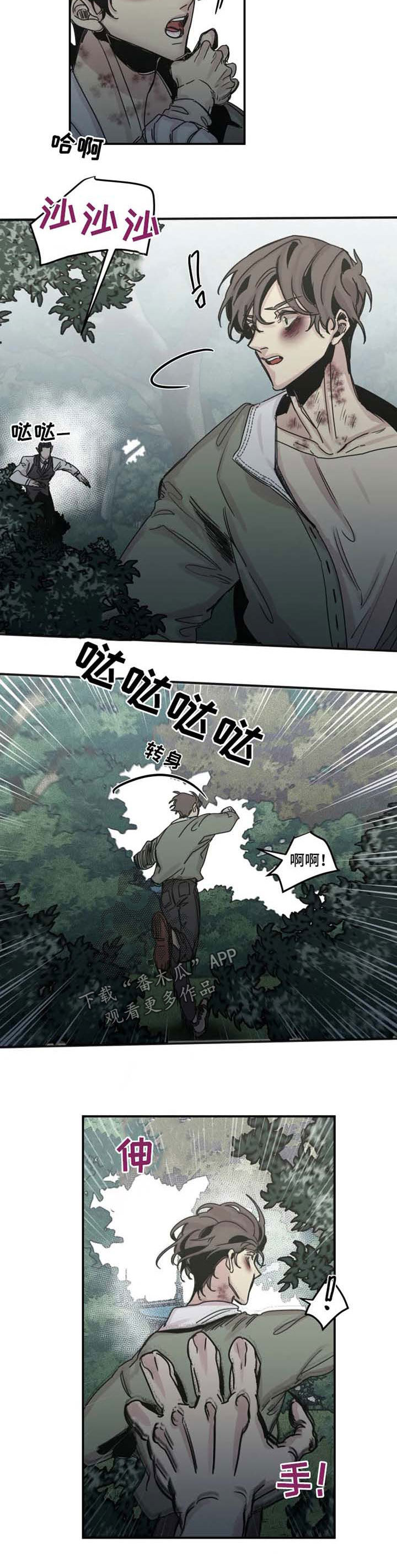 《生还之岛》第41章追杀 第2页