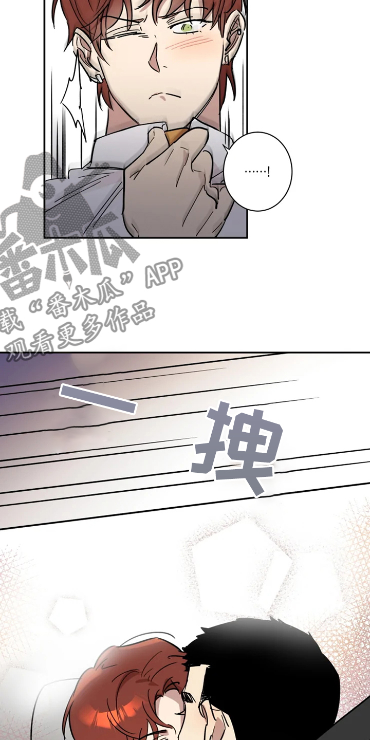 《混蛋帅哥》第53章【完结】领带的作用 第11页