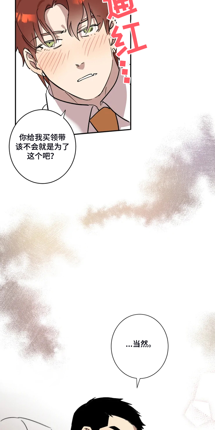 《混蛋帅哥》第53章【完结】领带的作用 第13页