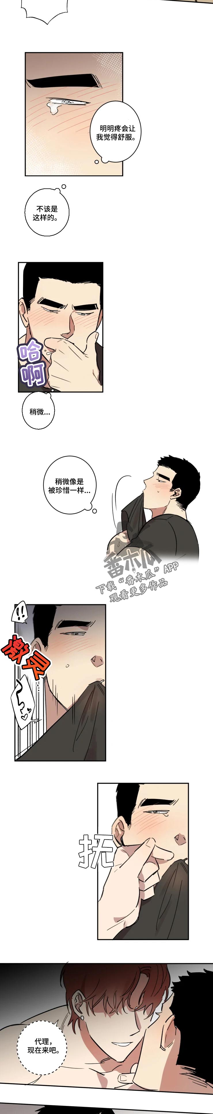 《混蛋帅哥》第41章被驯服了 第6页