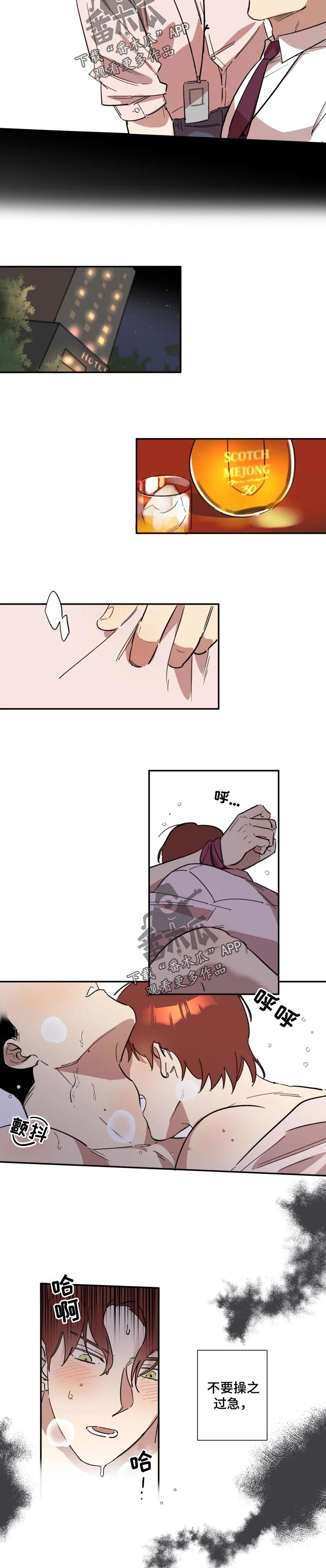 《混蛋帅哥》第36章喝酒 第2页