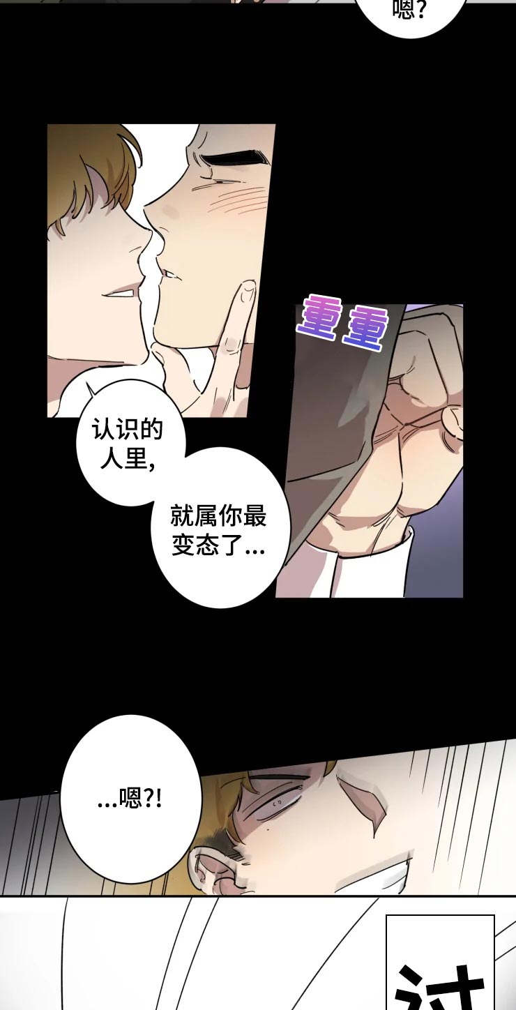 《混蛋帅哥》第21章我也喜欢 第2页