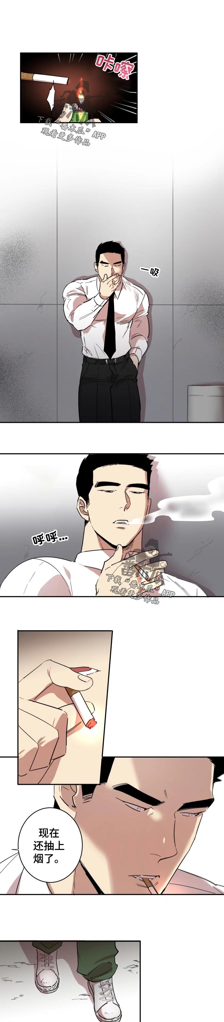 《混蛋帅哥》第20章交往对象 第5页