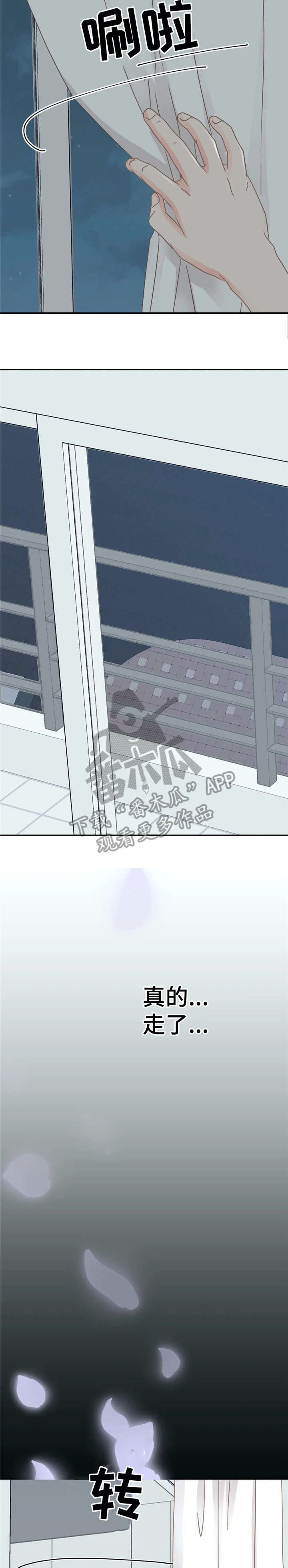 《午夜拥眠》第29章嘘 第12页